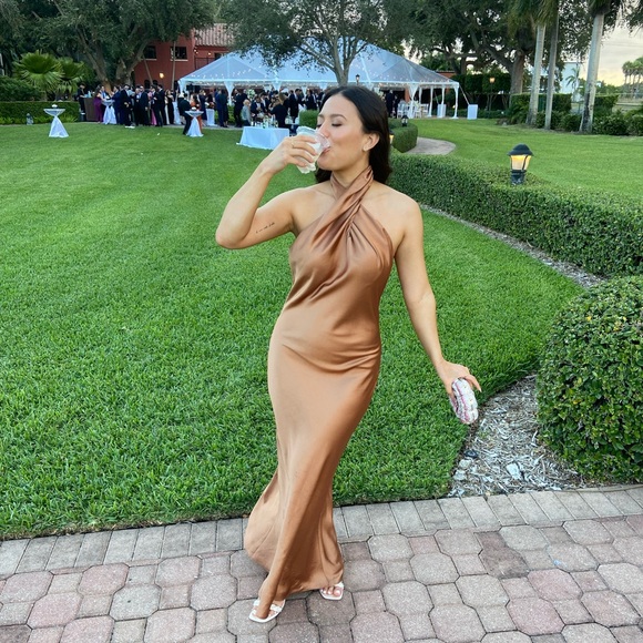 Show Me Your MuMu Dresses & Skirts - Show Me Your MuMu Bronze silk maxi dress